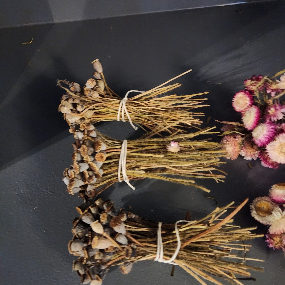 6 Little Real Dried Pod And Flower Bouquets. - Picture 8 of 9